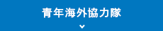 青年海外協力隊
